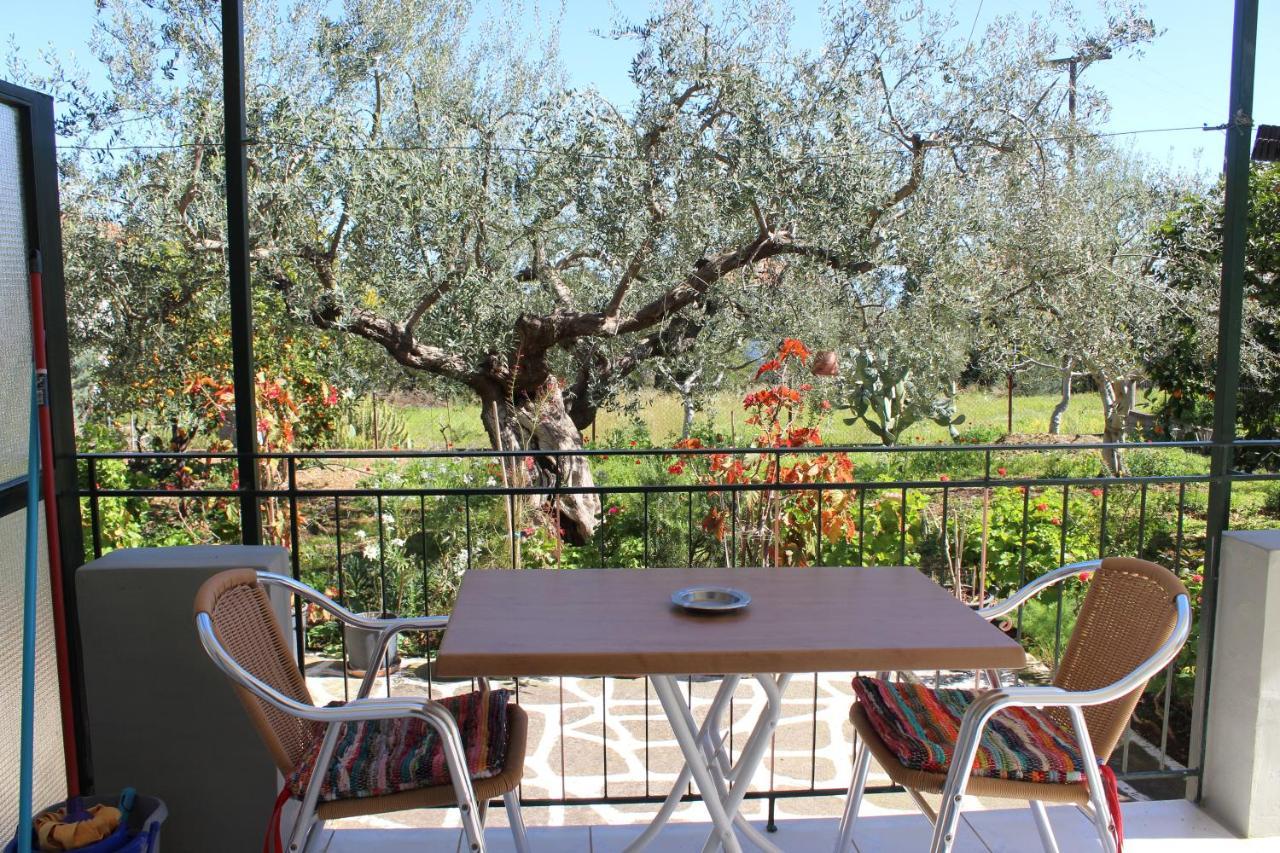 Appartement Rentoulia *